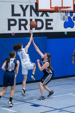 Lynx-Game-1-45-of-67