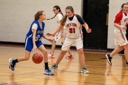 Lynx-Game-2-10-of-66