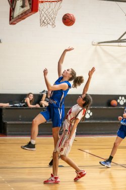 Lynx-Game-2-64-of-66