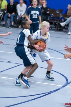 Lynx-Game-3-11-of-52