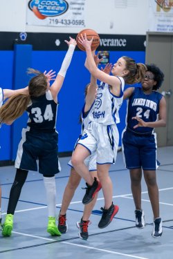 Lynx-Game-3-13-of-52