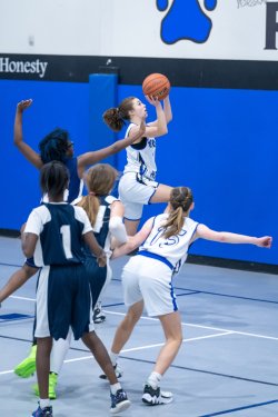 Lynx-Game-3-18-of-52