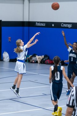 Lynx-Game-3-23-of-52