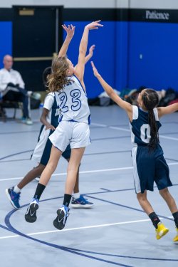 Lynx-Game-3-25-of-52