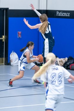 Lynx-Game-3-29-of-52