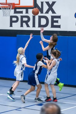 Lynx-Game-3-35-of-52