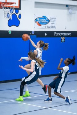 Lynx-Game-3-36-of-52