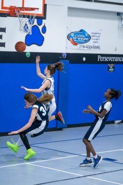 Lynx-Game-3-37-of-52