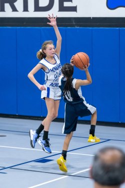 Lynx-Game-3-43-of-52