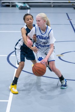 Lynx-Game-3-50-of-52