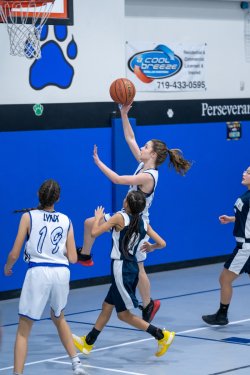 Lynx-Game-3-51-of-52