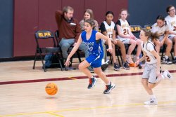 Lynx-Game-5-53-of-77