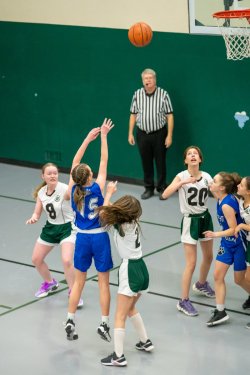 Lynx-Game-6-17-of-70