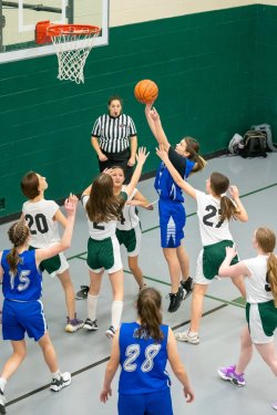 Lynx-Game-6-40-of-70