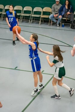 Lynx-Game-6-43-of-70