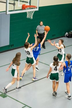 Lynx-Game-6-46-of-70