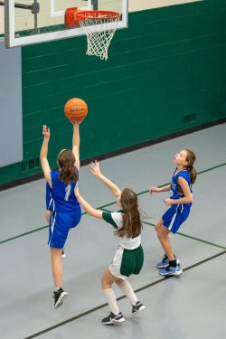 Lynx-Game-6-55-of-70