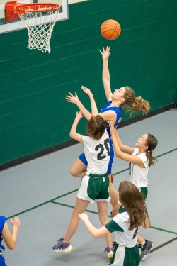 Lynx-Game-6-62-of-70