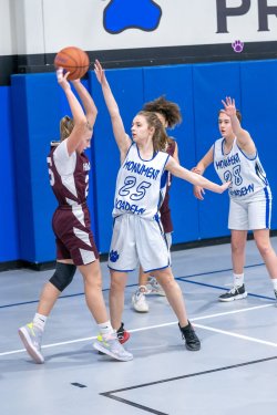 Lynx-Game-8-14-of-80