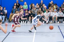 Lynx-Game-8-15-of-80