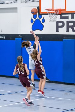 Lynx-Game-8-16-of-80