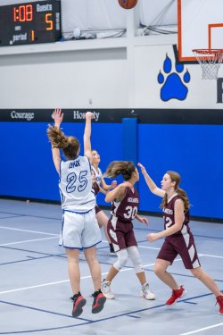 Lynx-Game-8-17-of-80