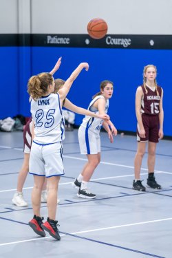 Lynx-Game-8-20-of-80