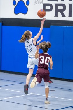 Lynx-Game-8-25-of-80