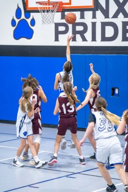 Lynx-Game-8-30-of-80