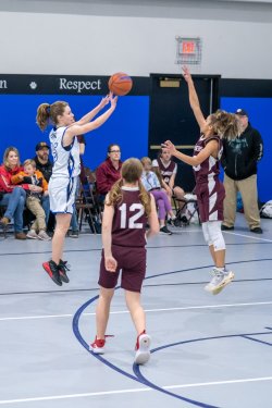 Lynx-Game-8-31-of-80