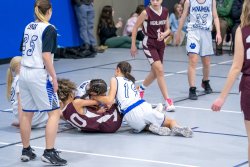 Lynx-Game-8-34-of-80