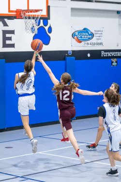 Lynx-Game-8-40-of-80