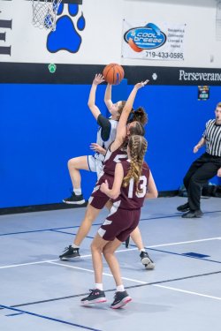 Lynx-Game-8-42-of-80