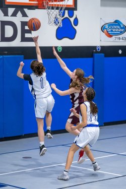 Lynx-Game-8-45-of-80