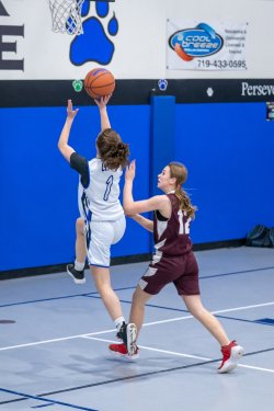 Lynx-Game-8-50-of-80