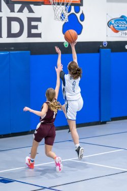 Lynx-Game-8-51-of-80