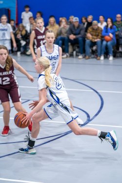 Lynx-Game-8-56-of-80