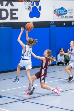 Lynx-Game-8-77-of-80