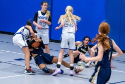 Lynx-Game-10-18-of-73