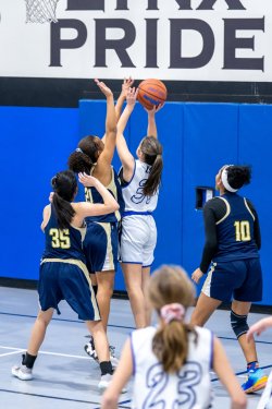 Lynx-Game-10-27-of-73