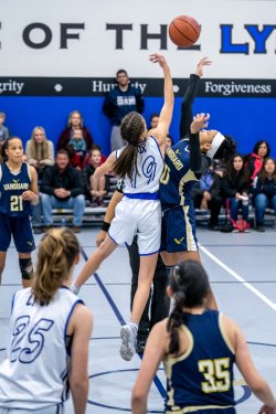 Lynx-Game-10-3-of-73