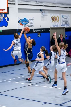 Lynx-Game-10-32-of-73