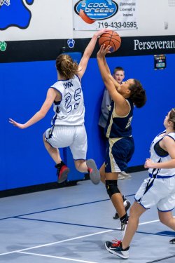 Lynx-Game-10-33-of-73