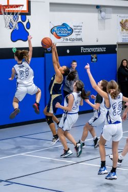 Lynx-Game-10-34-of-73