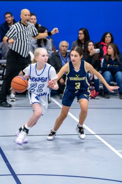 Lynx-Game-10-4-of-73