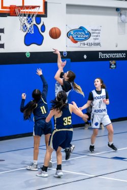 Lynx-Game-10-41-of-73