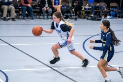 Lynx-Game-10-49-of-73