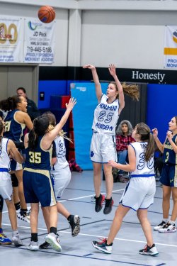 Lynx-Game-10-50-of-73