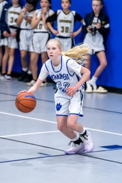 Lynx-Game-10-51-of-73