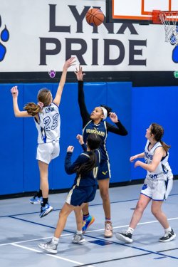 Lynx-Game-10-58-of-73